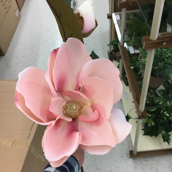 Meet your Posher, Jacob - Picture 1 of 1